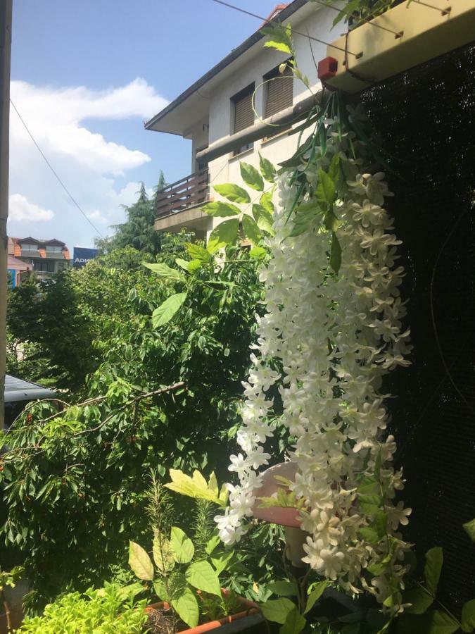 Ani Apartment Οχρίδα Εξωτερικό φωτογραφία